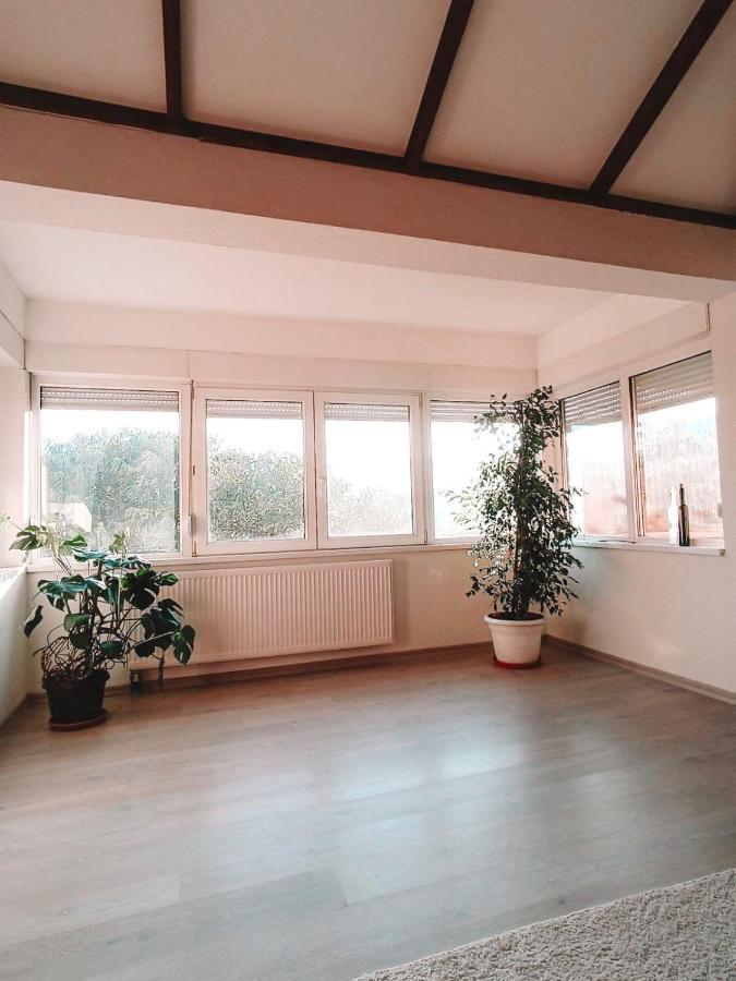 Poseidon House Apartament *